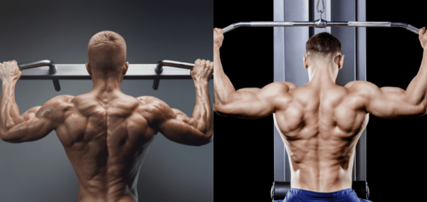Pull-ups vs. Lat Pull-down – The Differences