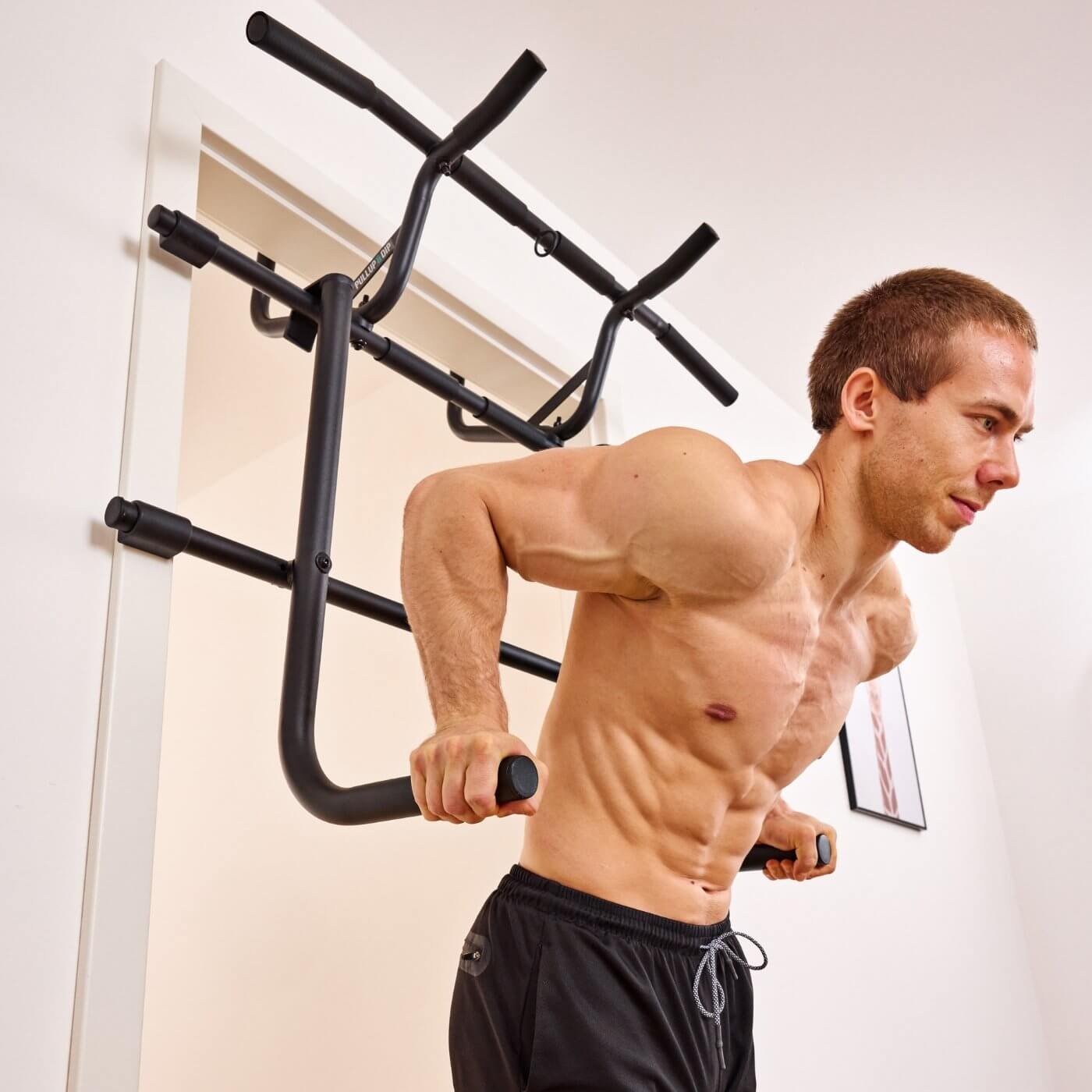 Our new milestone: the dip module!