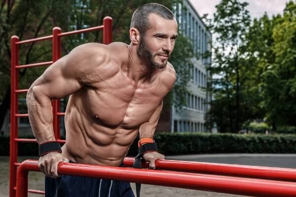 Dips Muskeln - Muskeln, die mit Dips trainiert werden und warum du sie ausführen solltest