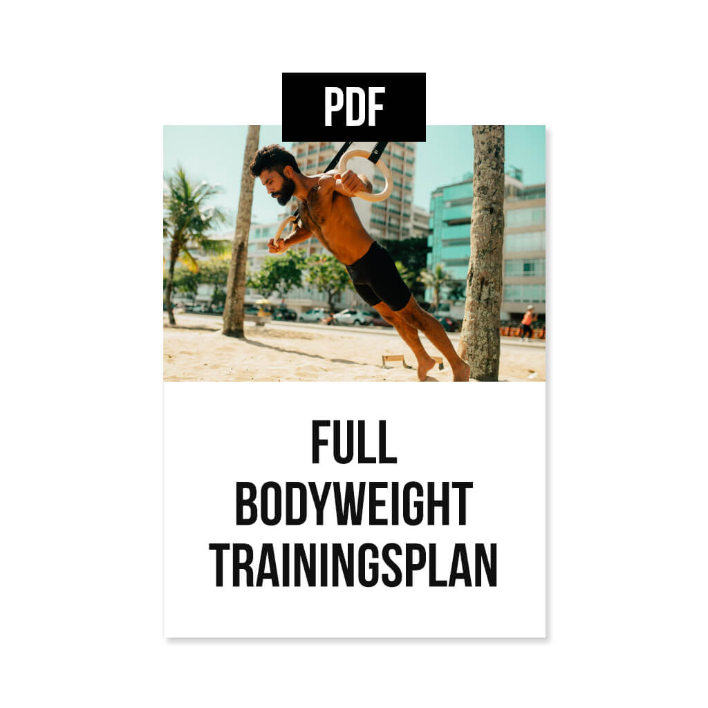 Full body bodyweight training plan [PDF] available English