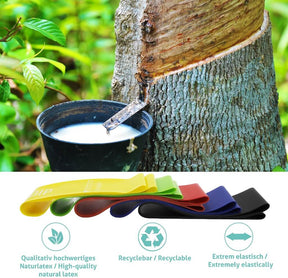 Loop Bands Set, Mini Bands in 5 Strengths - Includes Carrying Bag