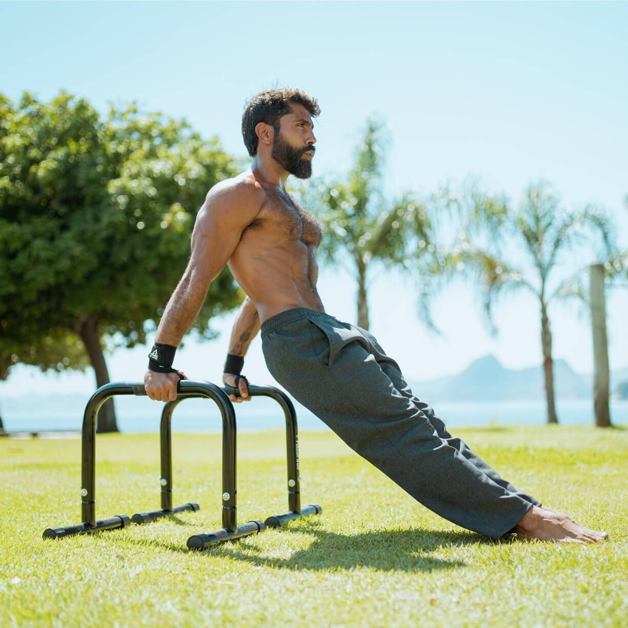 Pull Ups Calisthenics Pull Day Calisthenics Back Workout No Bar